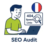 SEO audit France