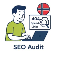 SEO audit Norway
